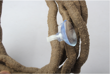 Load image into Gallery viewer, Reptile Vines