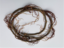 Load image into Gallery viewer, Reptile Vines