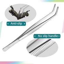 Load image into Gallery viewer, Reptile Food Bowl