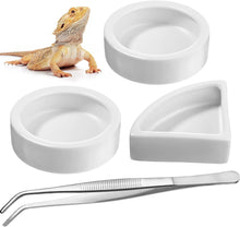 Load image into Gallery viewer, Reptile Food Bowl
