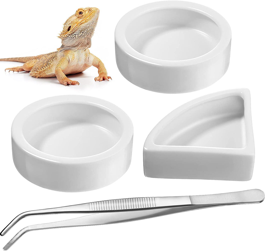 Reptile Food Bowl